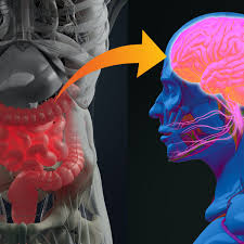 Read more about the article Study reveals a strong connection between the development of Parkinson’s disease and gut bacteria