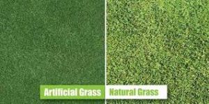 Read more about the article Real grass in UK gardens and council tax discount