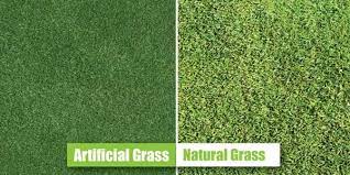 You are currently viewing Real grass in UK gardens and council tax discount