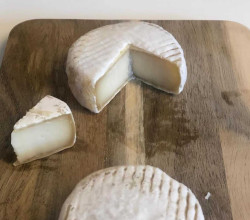 Read more about the article How Food Tech startup FAERM overcame impossibility to create dairy-like plant based cheese(Patented vegan cheese)