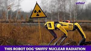 Read more about the article Robotic dog enters toxic section of Scots decommissioned reactor