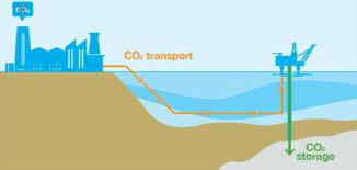 You are currently viewing North Sea carbon Treasure Map could lead to economic growth